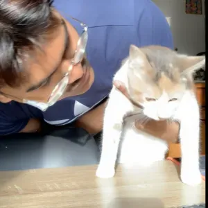 Aux Service de vos Animaux ! ( Chats )