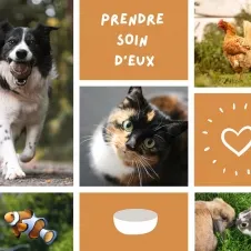 Prendre soin d'eux pendant votre absence