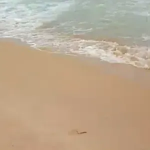 a la recherche d'un emploi accompagnent des personnes âgées 