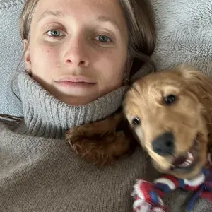 Besoin d'un dogsitter pour mon cocker Aïko de 3 mois