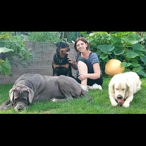 Pet-sitter Arlon alentour, Oberpallen, Beckerich et Alentour