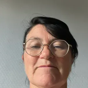 Ménage , repassage , courses , vitres 