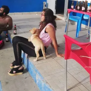 Pet sitting zona de Óbidos 