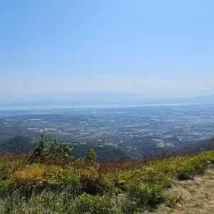 Je cherche une femme de ménage 