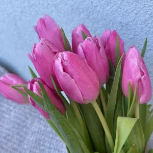 Addetta pulizie, aiuto domiciliare e altri lavori