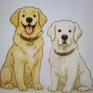 Emploi de femme de ménage Le Tour-du-Parc