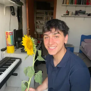 Laureando in matematica offre ripetizioni di matematica