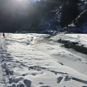 Aide au ménage, repassage