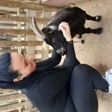 Todo tipo de cuidado para seu pet