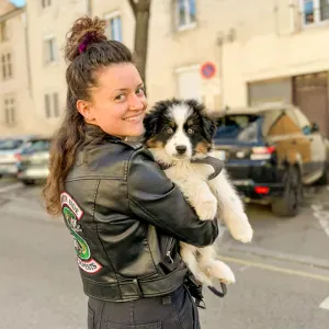 Aide à domicile et garde animaux à Épinal