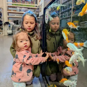 Recherche Baby Sitter Serris