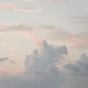 Canguro en Guadalajara con experiencia!