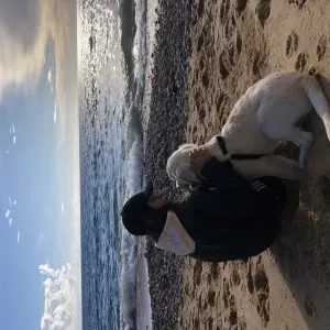 Cours de soutien scolaire aux Sables d'Olonne 