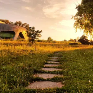 Auxiliaire de vie à Lyon et alentours 