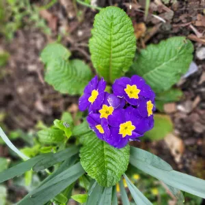 Je fais mon travail de manière responsable.