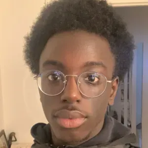 Baby-sitter diplômé du BAFA, sérieux et disponible (77),(75)