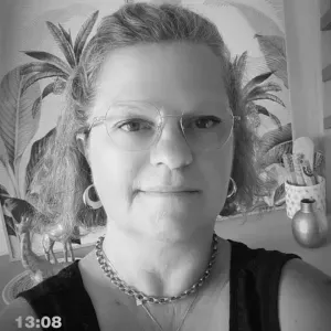 Aide ménagère pont l'abbé et environs 