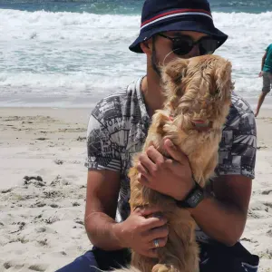  Serviços de Dog Walking / Pet Sitting