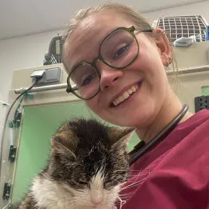 Pet Sitter à Liège/Gembloux pour vous servir !