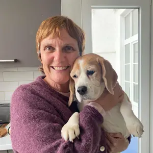 Experienced, fun looking to help with school pick ups