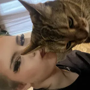 Pet sitter dans le 94 peut se déplacer sur Paris