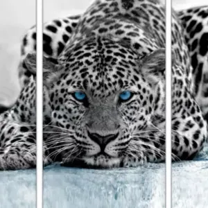 Babysitting dans le valenviennois