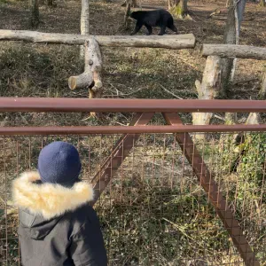 Pet-Sitter Le Havre et alentours