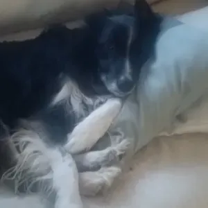 Femme de ménage Vielsalm, Stavelot , Malmedy,lierneux ,etc