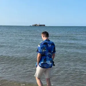 Garde d'animaux surtout chat / petit chien 