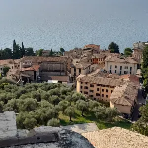 Cerco assistenza domiciliare