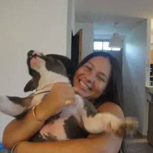 Pet Sister Maillane et alentours !