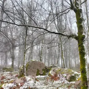 Oferta de emprego para uma empregada de limpeza em Coimbra