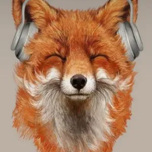 Employé multiple services / ménage/ cuisine 