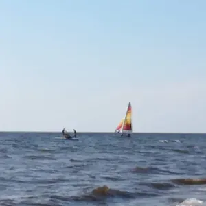 Lavoro per addetto alle pulizie Trento