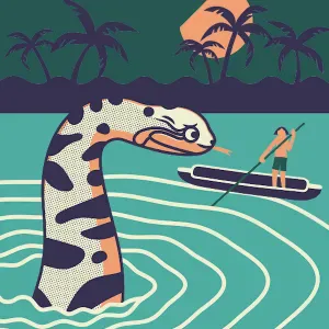 pet- sitter périgueux et alentours 