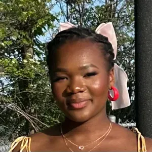 Femme de ménage à Toulouse et en Auzeville-Tolosane