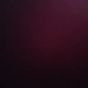 Cercasi servizio di pulizie