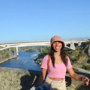 Senior Jack Russell for pet sitting