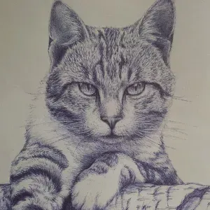 Je cherche un(e) petsitter près de chez moi
