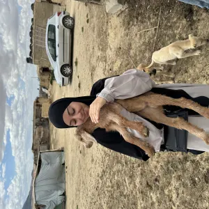 Pet-sitter à feyzin et lyon ☺️