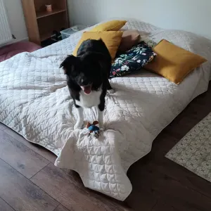À la recherche d'une Nounou pour Pozzie