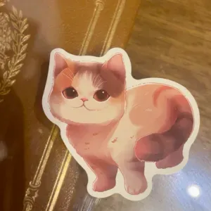 Pet-sitter pour chats à Paris 
