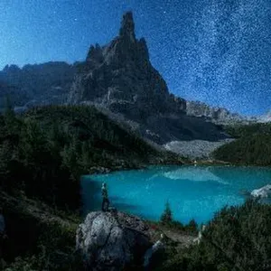 Position for a Petsitter in Mola di Bari