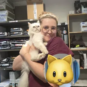 Ménage a votre domicile