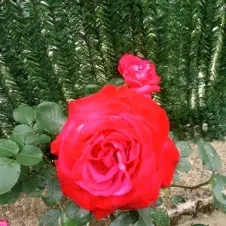 Garde sur Givors/Grigny