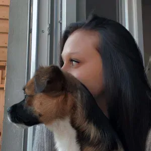 Emploi de Petsitter Hirson