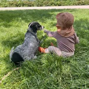 Kind and Reliable Babysitter Wanted in Prenzlauer Berg