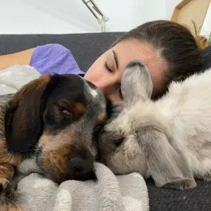 Pet-Sitter Chien et Lapin Noisy le grand