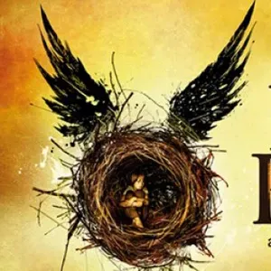 Je cherche un(e) aide ménagère près de chez moi