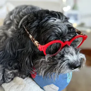 Oferta de emprego para petsitter em Algés